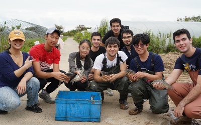 JI international freshmen explore China’s rural development at Chongming Island